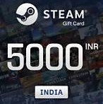 Steam 5000 INR